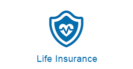 Life Insurance  icon
