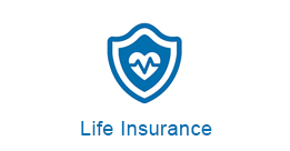 Life Insurance icon